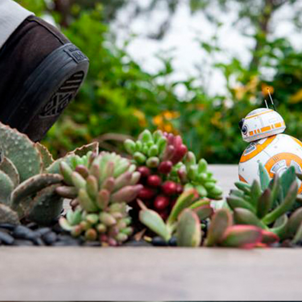 Droide-BB-8-de-Sphero4