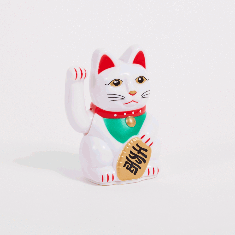 El Lucky Cat mas pequeño del mundo 2