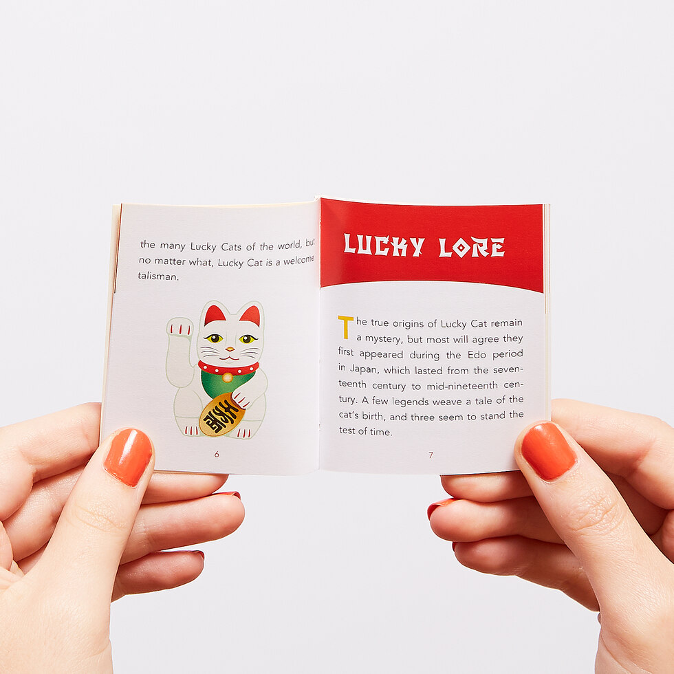 El Lucky Cat mas pequeño del mundo 4