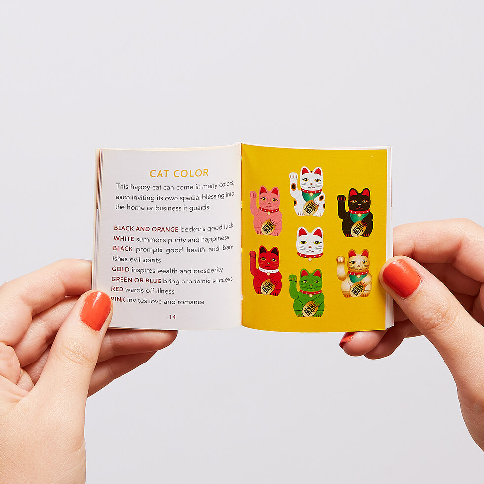 El Lucky Cat mas pequeño del mundo 5