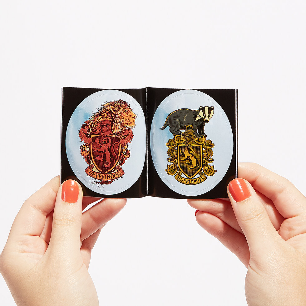 El sombrero de Harry Potter más pequeño del mundo 3